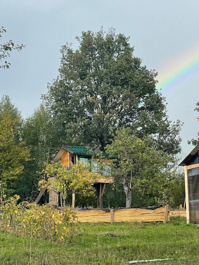 Langaland Glamping Hotel Susenii Birgaului Exterior photo