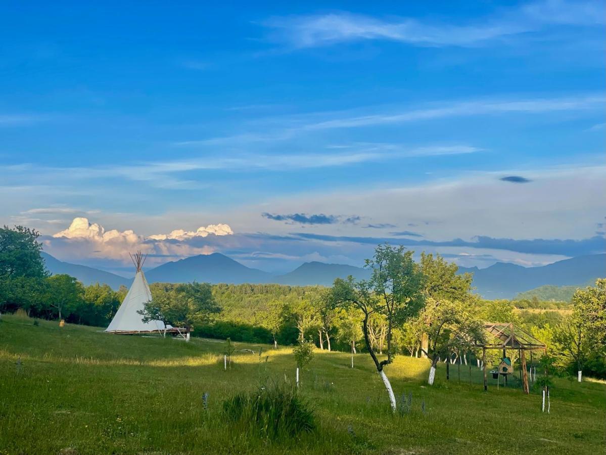 Langaland Glamping Hotel Susenii Birgaului Exterior photo