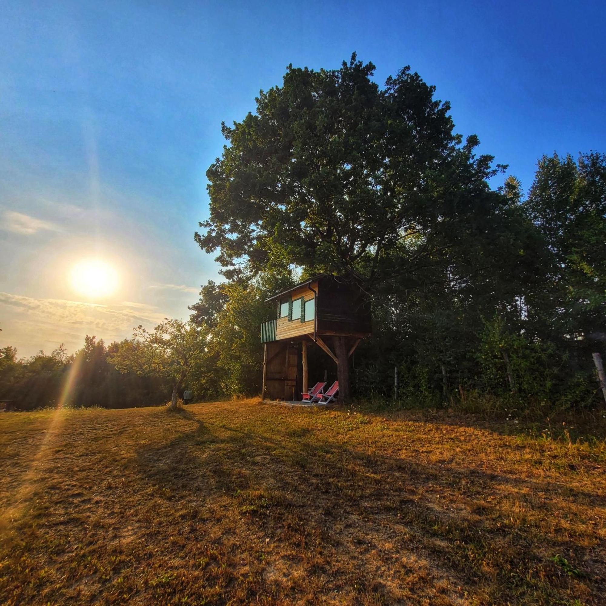 Langaland Glamping Hotel Susenii Birgaului Exterior photo